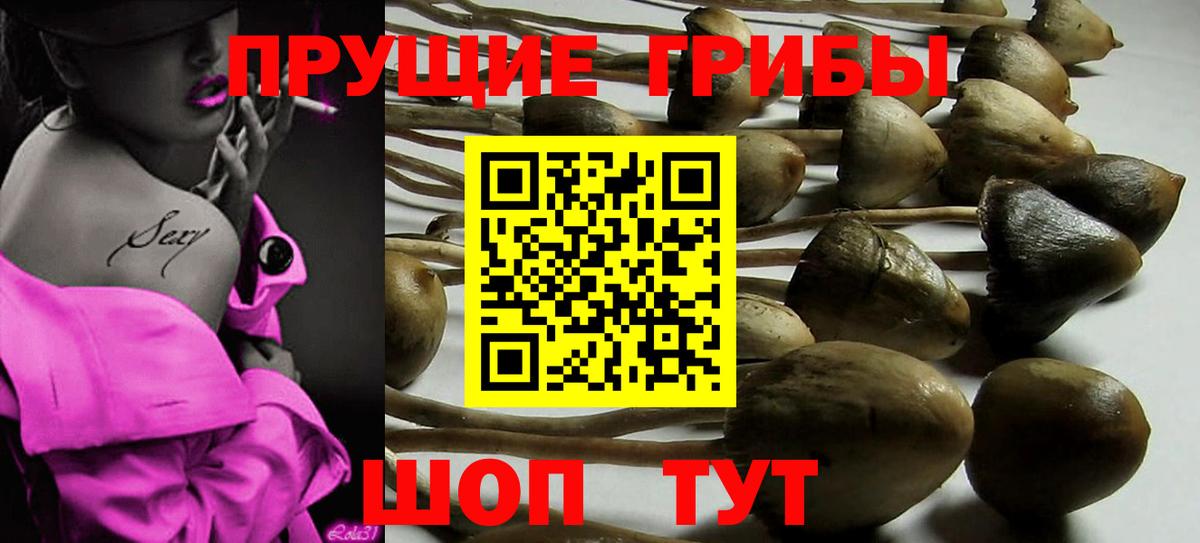 Галлюциногенные грибы мухоморы Елец